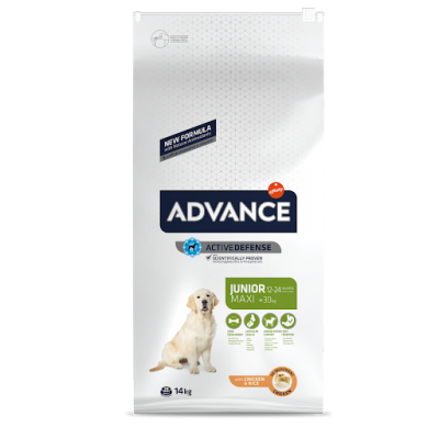 Advance Maxi Junior